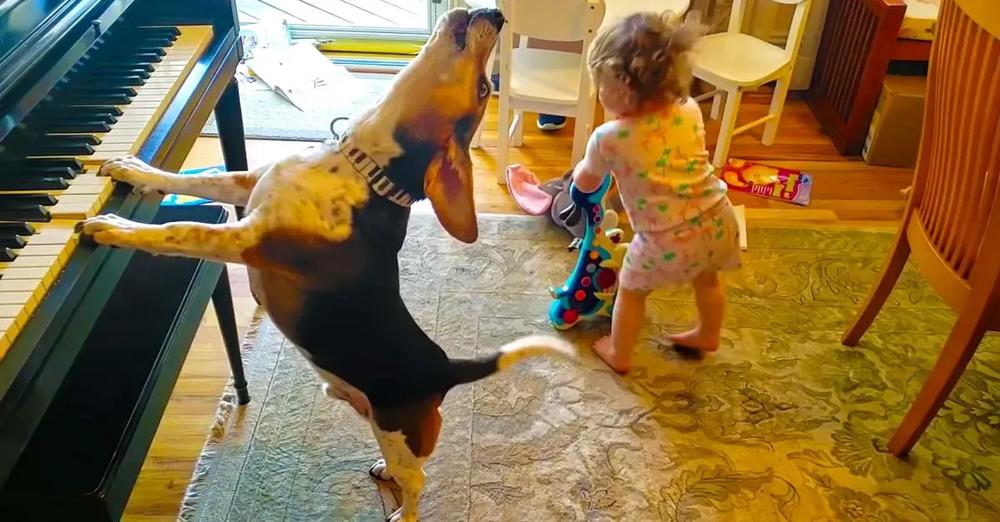 Baby Dances And Dog Starts Playing The Piano As This Duo Puts On An Amazing Performance