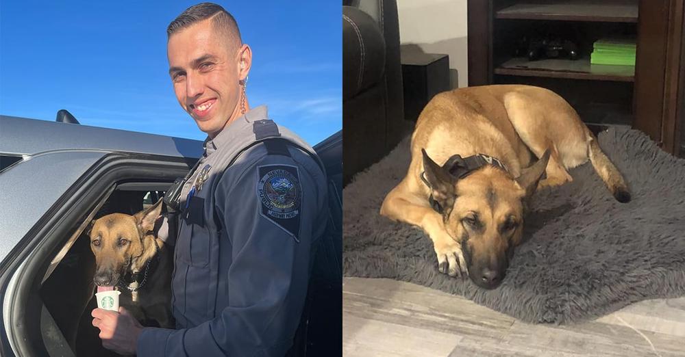 Trooper heartbroken after K9 partner was suddenly taken away from him — now he’s fighting to adopt her