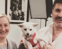 Simon Cowell has donated $32,000 to help shut down a dog meat market