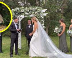 Couple’s wedding ceremony is interrupted by meowing stray cat — what they did next led to a very happy ending