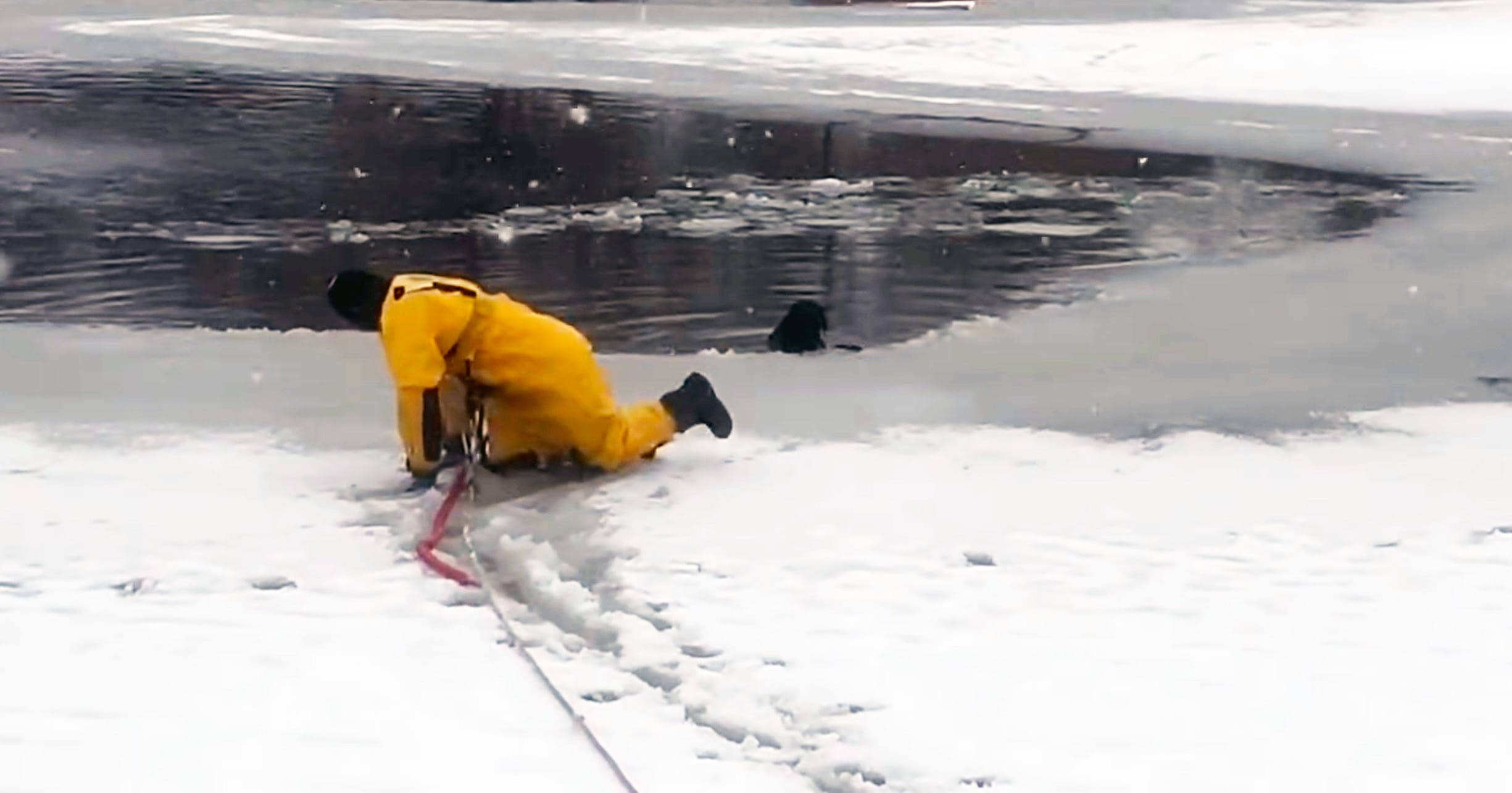 Firefighter braves freezing waters to save dog who fell through ice — thank you