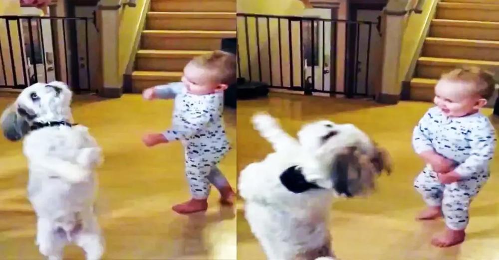 Adorable Baby And Puppy Go For A Spin To Get Snacks