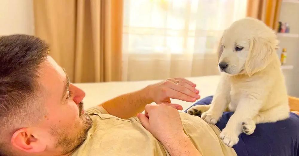 Man Pretends That Adorable Puppy’s Bites Hurt His Finger