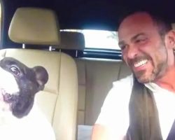 Singing Frenchie Is Back For Another Duet With His Owner