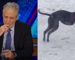 Jon Stewart Shares Heartfelt Tribute to His ‘Best Boy’ Dog, Dipper, on The Daily Show