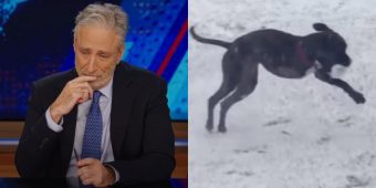 Jon Stewart Shares Heartfelt Tribute to His ‘Best Boy’ Dog, Dipper, on The Daily Show