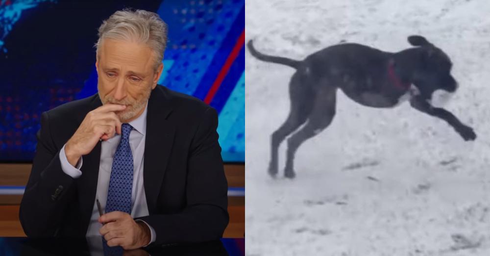 Jon Stewart Shares Heartfelt Tribute to His ‘Best Boy’ Dog, Dipper, on The Daily Show