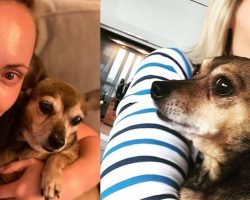Christina Ricci mourning loss of beloved dog Karen Carpenter: “My best friend for 15 years”