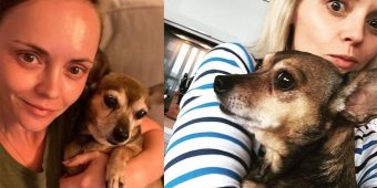 Christina Ricci mourning loss of beloved dog Karen Carpenter: “My best friend for 15 years”