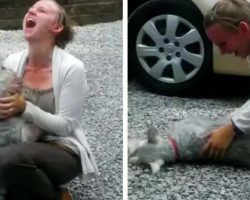 Long Lost Schnauzer Reunites With Owner And The Dog Passes Out From Excitement