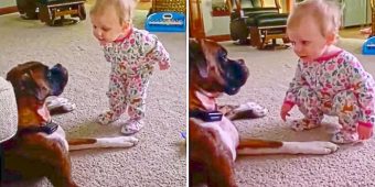 This Baby Can’t Stop Talking To Her Doggy Best Friend