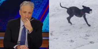 Jon Stewart breaks down in tears announcing beloved dog Dipper has died: “In a world of good boys, he was the best”