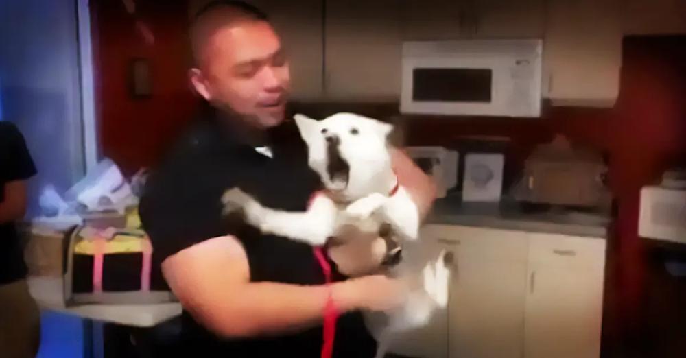 Missing Dog Refuses To Get Adopted At Shelter, Until His Owner Walks In