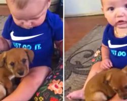 Puppy Cuddles Up Next To Baby During Their First Meeting