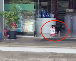 Proud pup struts out of store all by himself with a bag of dog food