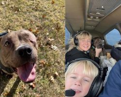 One-eyed shelter dog was about to be euthanized — then a pilot and a woman hundreds of miles away saved his life