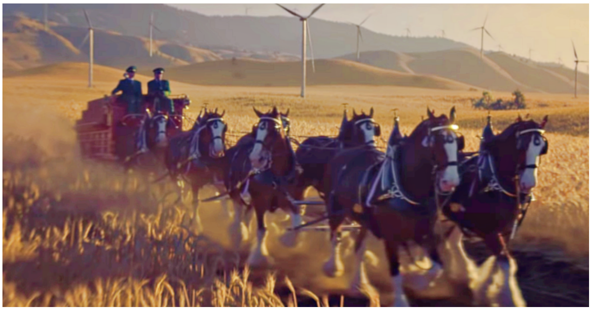 Budweiser’s 2019 Super Bowl Ad - Starring Famous Clydesdales, A Dog, And The Wind