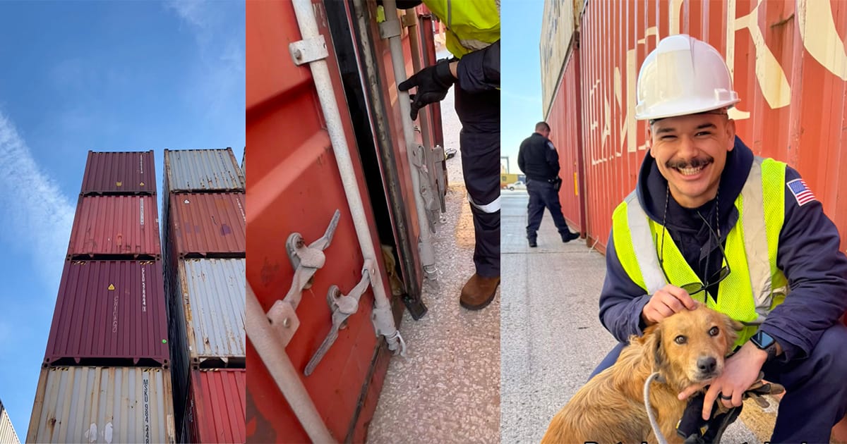 Coast Guard officers hear barking and scratching from shipping container — save dog who had been trapped for a week