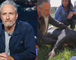 Jon and Tracey Stewart’s 45-acre farm is a safe place for abused farm animals