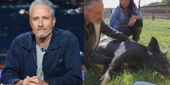 Jon and Tracey Stewart’s 45-acre farm is a safe place for abused farm animals