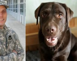 Heartbroken Army Vet is Separated from K9 until 2 Years Later They’re Reunited
