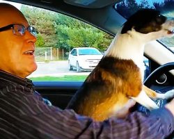 Puppy Realizes He’s At Dog Park, Goes Absolutely Bonkers