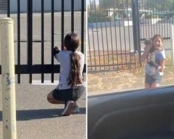 Dad Catches Heartwarming Moment His Little Girl Finds Her Lost Cat After Two Months