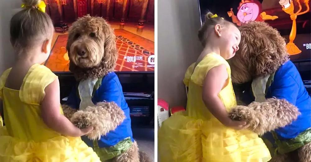 Toddler And Goldendoodle Dance As Beauty And The Beast