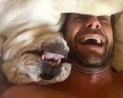 Grumpy Dog Makes Hilarious Sounds When Woken Up