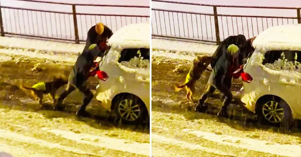 Super Dog Gives Final Push To Car Stuck In Snow
