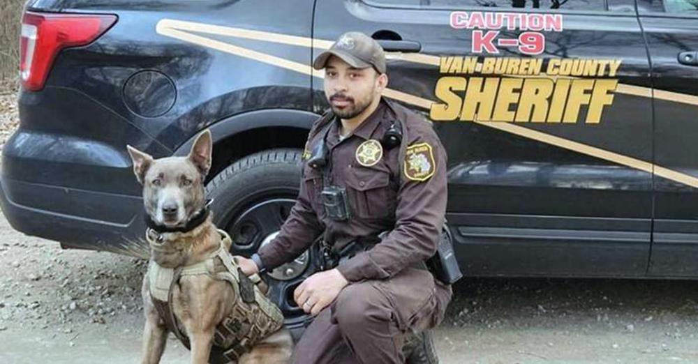 K9 police dog saves the day, tracks down missing 3-year-old boy just in time