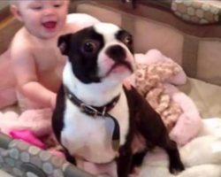 Mom tells the dog to get out of the crib, but he disobeys her in a hilariously adorable way