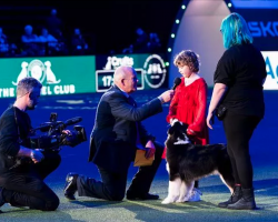 Young Cancer-Battling Girl Takes Center Stage At Crufts