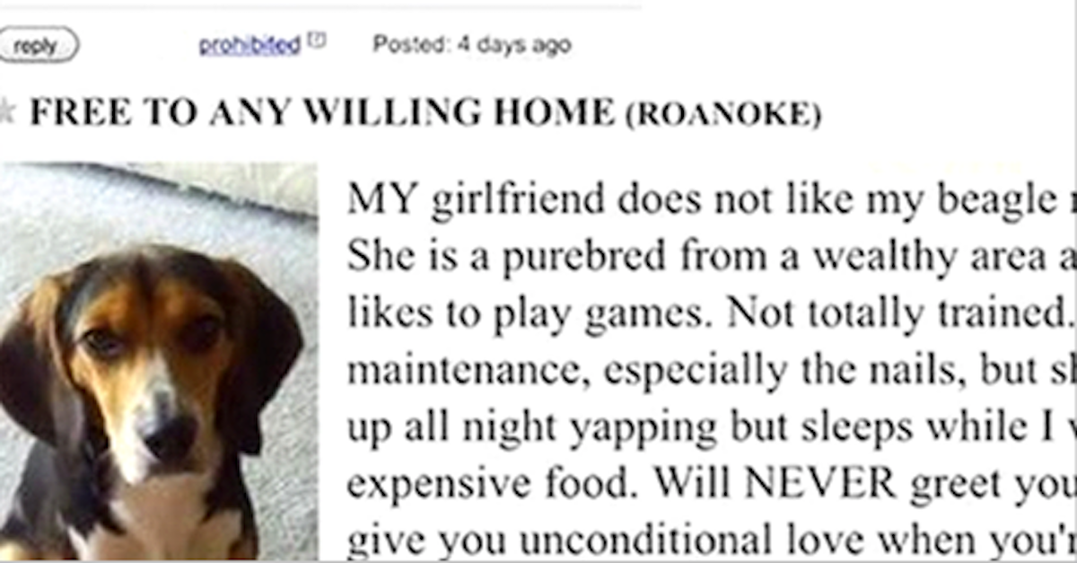 Man Posts Incredible Craigslist Ad After His Girlfriend Asks Him To Get Rid Of His Dog
