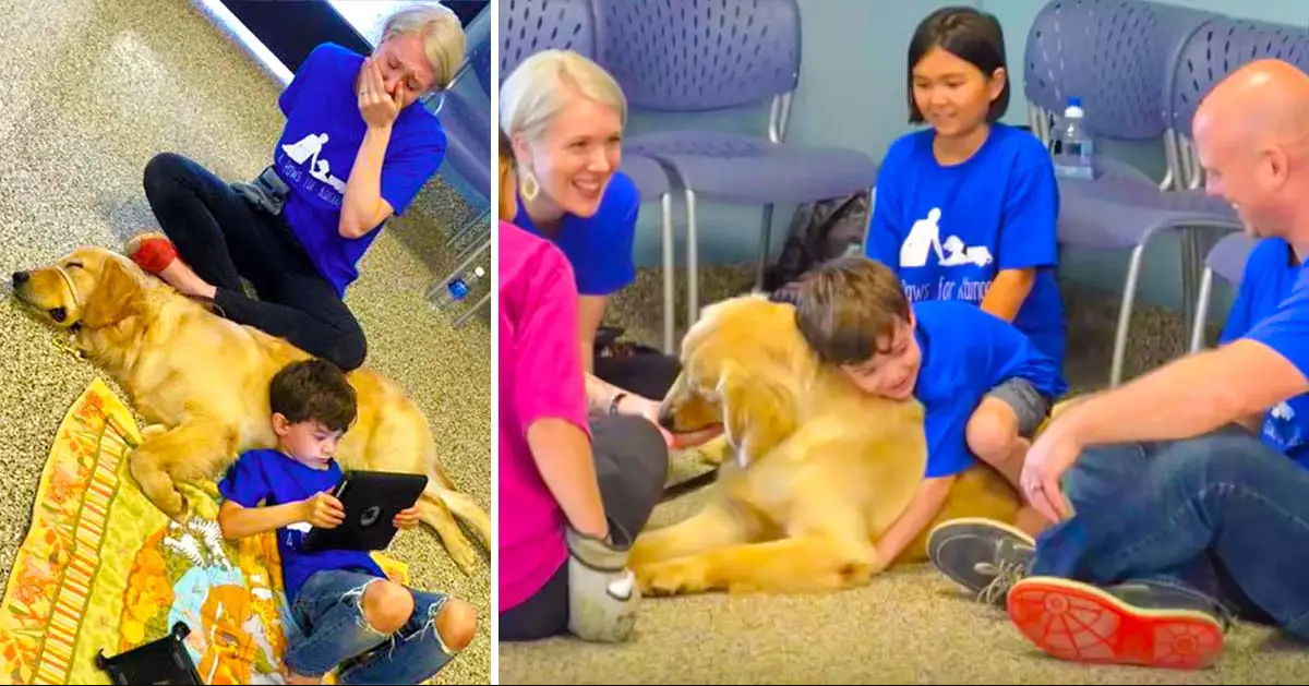 Mom Breaks Down In Tears When Son with Autism Meets Service Dog