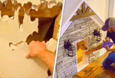 Man Tears Down His Closet To Build His Dog A Luxury Home