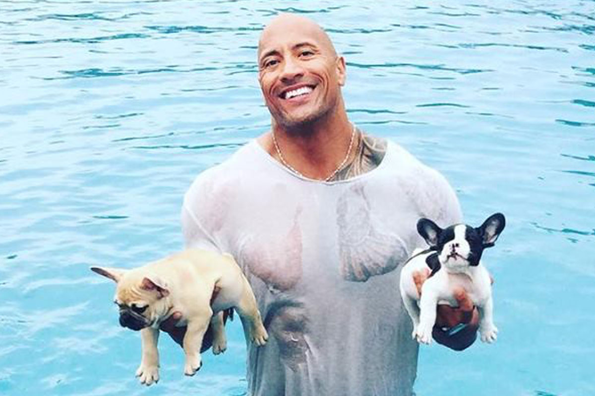 Dwayne 'The Rock' Johnson Dove Into A Pool Fully-Clothed To Save His French Bulldog Puppy