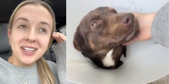 Woman volunteers at shelter — makes a “drastic decision” on her first day after meeting rescue dog