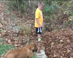 Dog Comes To The ‘Rescue’ Of Boy After He Disappears In Huge Leaf Pile