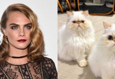 Cara Delevingne reveals cats survived home fire after fears that they died: “Thank you to the firefighters”