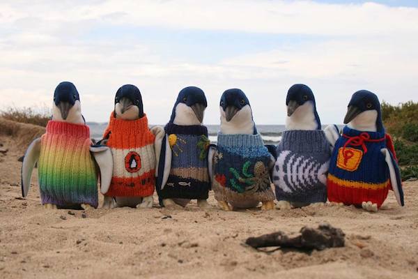 Australia’s Oldest Man Knits Sweaters For Little Penguins Affected By Oil Spills