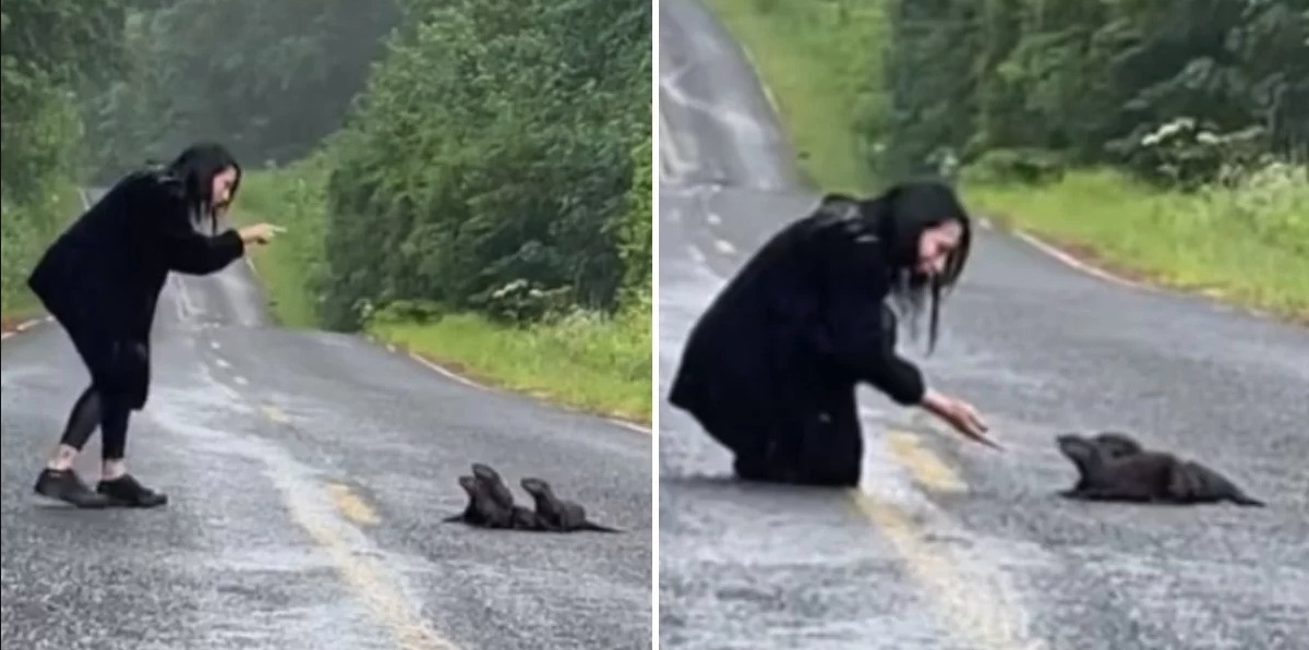 Woman spots ‘dirty’ and furry ‘lump’ on the road