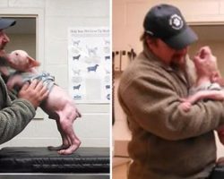 Man Returned To Adopt The Dog He Rescued, And The Pup Couldn’t Be Happier