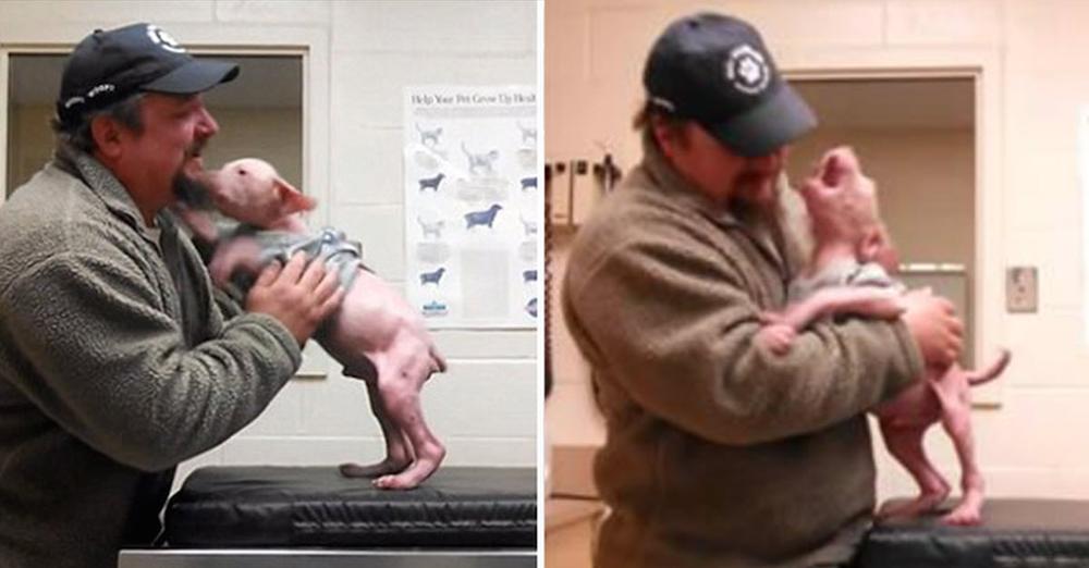 Man Returned To Adopt The Dog He Rescued, And The Pup Couldn’t Be Happier