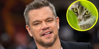 Matt Damon shares remarkable story about cat he rescued from Costa Rican jungle: “He’s like Arnold Schwarzenegger”