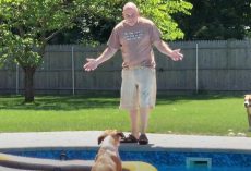 Dog Has Front Row Seat To Dad’s Pool Blunder
