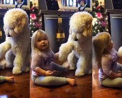 Little Girl Adorably Trains Her Puppy