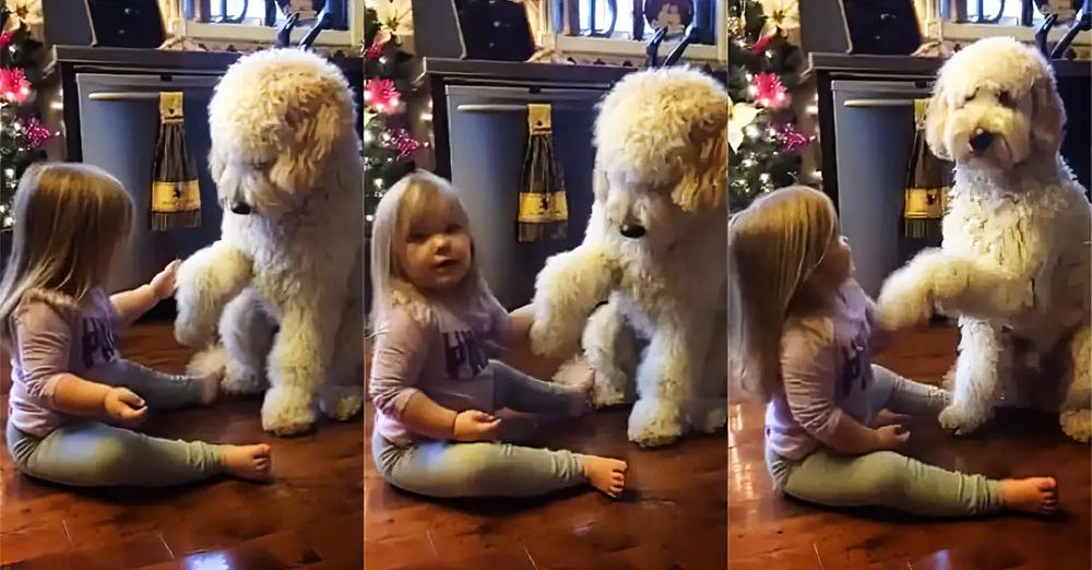 Little Girl Adorably Trains Her Puppy