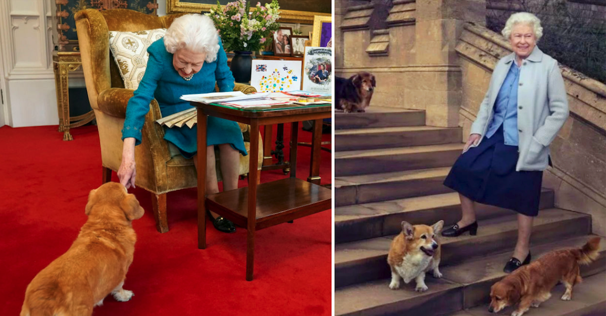 Queen Elizabeth II once comforted a war hero with the help of her pet corgis