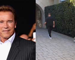 Arnold Schwarzenegger shares sweet video of workout with his pet pig Schnelly